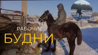 :   # # # #