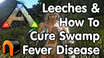 How do you get rid of leeches in Ark?