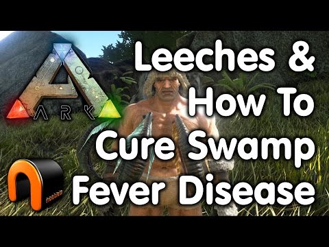 Ark: Survival Evolved - HOW TO CURE SWAMP FEVER/DISEASE/LEECHES!