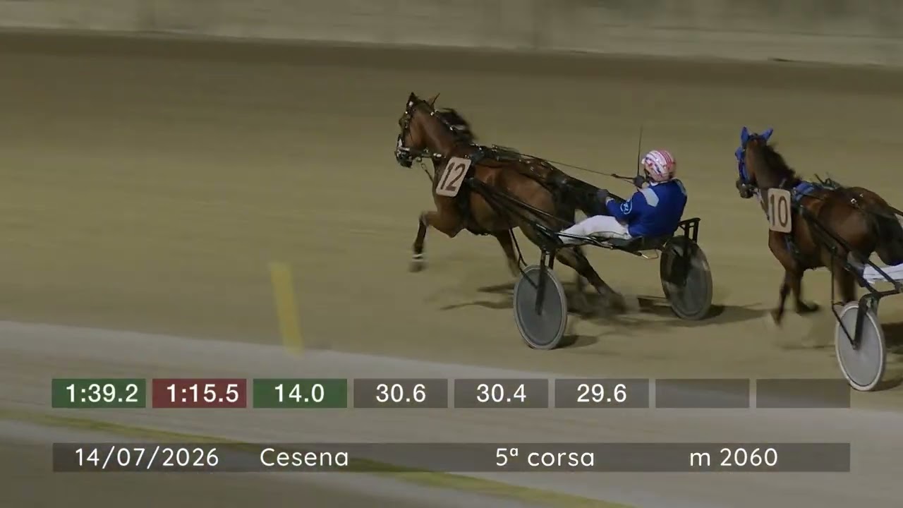 2026 07 14 | Corsa 5 | Metri 2060 | Premio Anioc Forli' Cesena Ravenna Rimini
