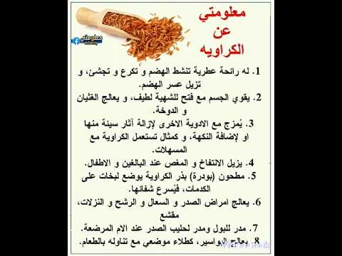 معلومتي عن الكراويه