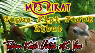 Suara Pikat Burung Tepus Pipi Perak Ribut |Mix Sg Pulot