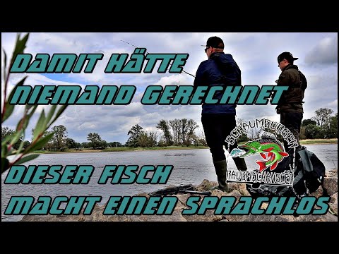 Damit hätte niemand gerechnet | Dieser Fisch macht einen Sprachlos ¦ erneute Gewinnauslosung
