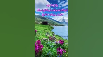 "وإن من شيء إلا يسبّح بحمده ولكن لاتفقهون تسبيحهم" - القارئ يوسف العيدروس 🌸