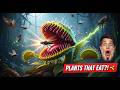 This Plant Hunts Insects Alive! | Carnivorous Plants Explained | ILM Pulse Science