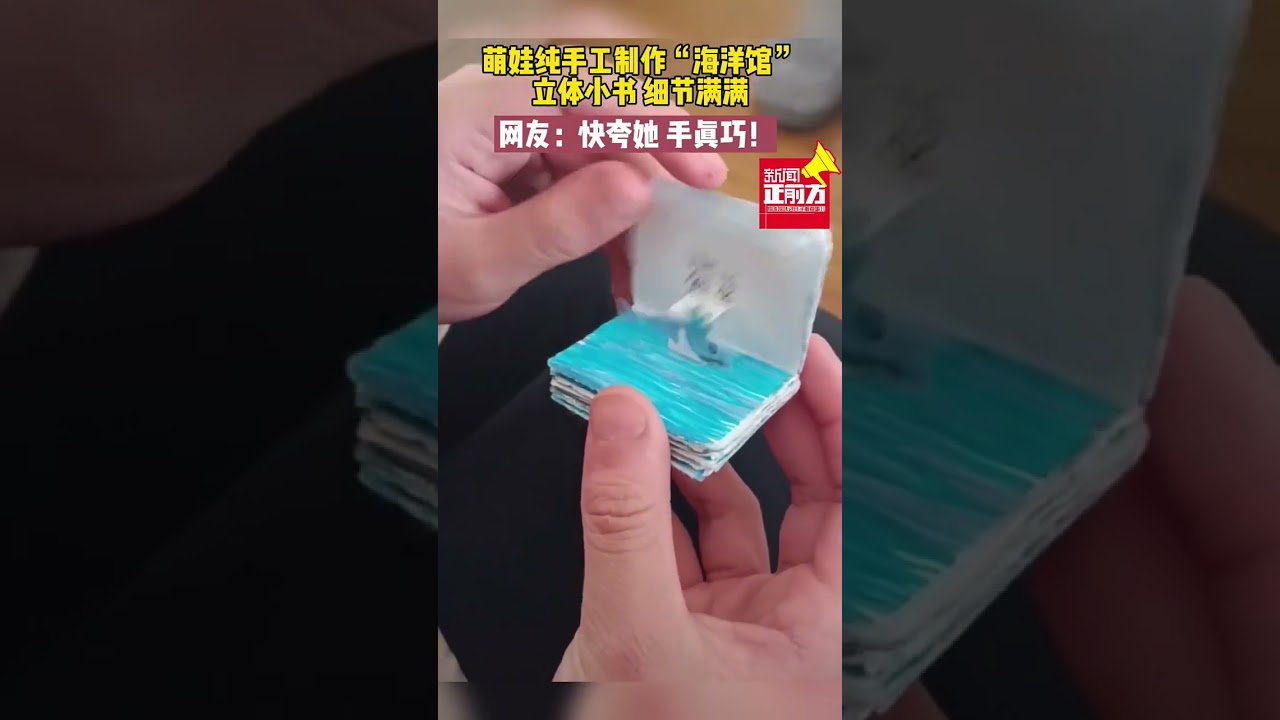 萌娃純手工製作「海洋館」立體小書，細節滿滿！網友：快誇她，手真巧！#shorts#