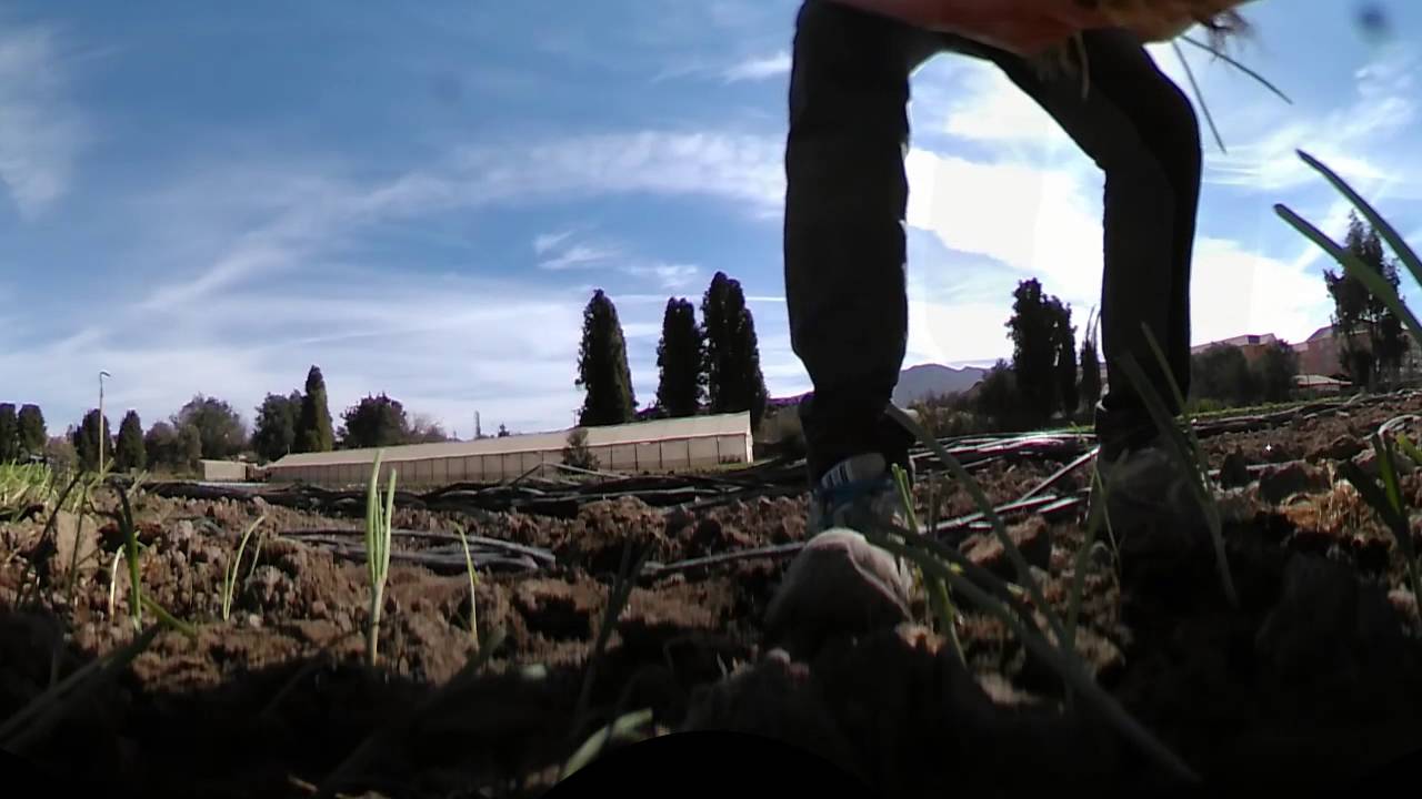 Video 360º Cultivo de Hortalizas, Pueblo de San Fernando, Copiapo.