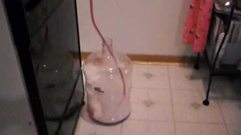 Making Fruit Concentrate Wine - Part 4