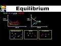 Equilibrium Graphs grade 12: Introduction