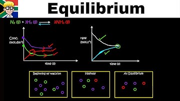 Equilibrium Graphs grade 12: Introduction