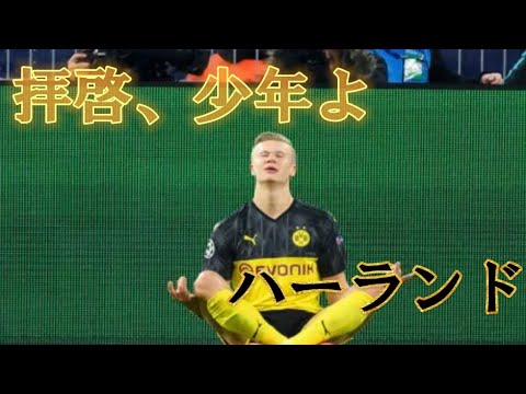 ハーランド