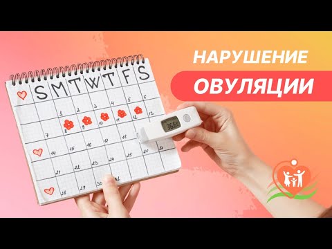 ♀ Овуляция. Причины нарушения овуляции