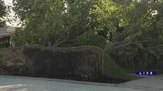 Clean-up, power restoration efforts continue after Monday night's storms