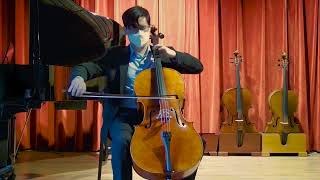 Cello: Jay Haide European Wood Vuillaume Model