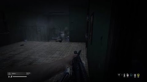 Dayz multi kill