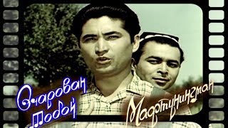 Eshagida qozi bor geylar