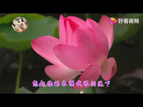 倪尔萍《儿行千里妈牵挂》DJ慢摇舞曲