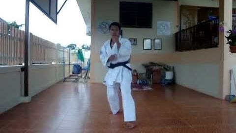 1st Kyu Brown Belt Grading Pt 2