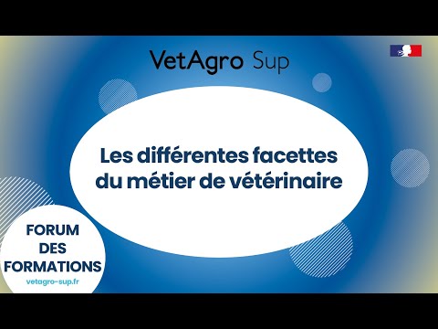 Vidéo: Une augmentation des cas de grippe canine signifie que Fido pourrait avoir besoin de se faire vacciner contre la grippe cette année