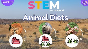 Animal Diets | KS1 Science for Kids | STEM Home Learning