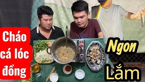 Một Buổi Đi Cấm Câu Về Nấu Cháo Cá Lóc Siêu Ngon | Kim Vàng TV