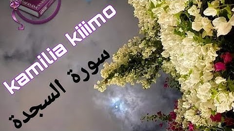 سورة السجدة كاملة_بصوت خاشع جدا من القرآن الكريم #سورة_السجدة