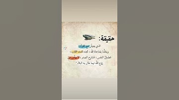 فضل المداومة والحرص على قراءة القرآن الكريم ❤️🤍🤍🤍🤍