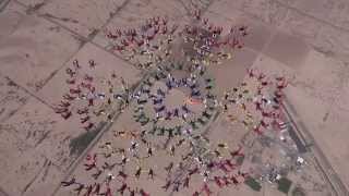Skydive record 222 sequential