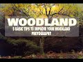 Five Woodland Photography Tips. Instantly Improve Woodland Images.