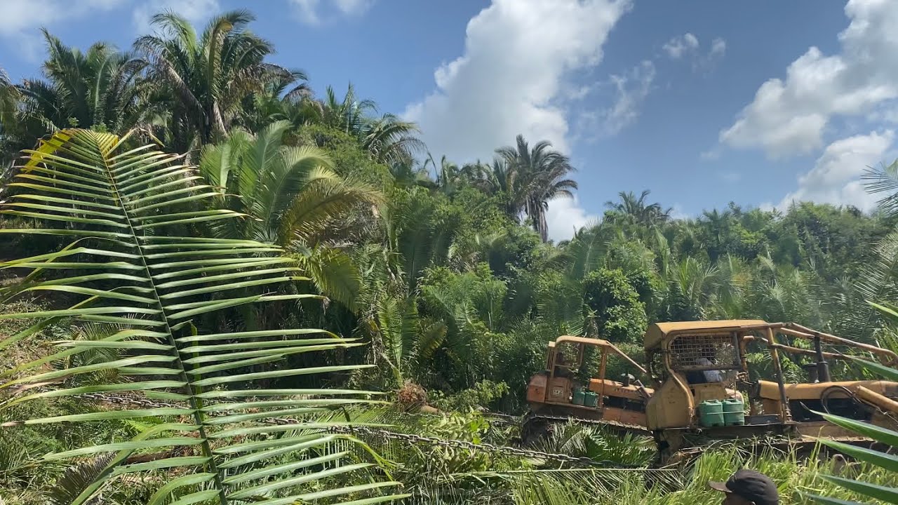 UM DIA INTEIRO ACOMPANHANDO OS TRATORES NO SERVIÇO 🇧🇷