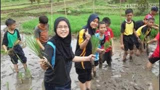 IWAN FALS   #  GADIS TANI  #