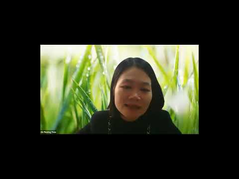 Cuộc họp khẩn