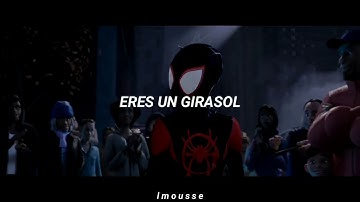 Thumbnail of SUNFLOWER // Swae Lee, Post Malone // letra en español // musa lyrics