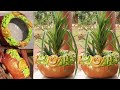 Beautiful Pot Idea/Cement Craft ideas