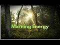 Deep Relaxation Music  | Beautiful Morning Sunlight l Relax music Moc