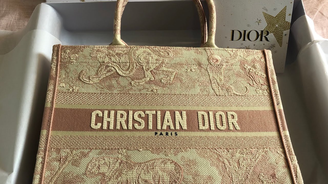 Bag Review: Dior Toile de Jouy Book Tote – The Bag Hag Diaries