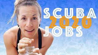 The REALITY of Scuba Diving Jobs in 2020 ?