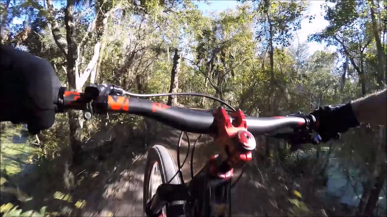 Spitfire at Alafia River State Park - YouTube