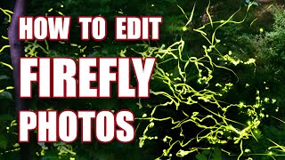 How To Shot and Edit Firefly Photos in Lightroom & Photoshop screenshot 1
