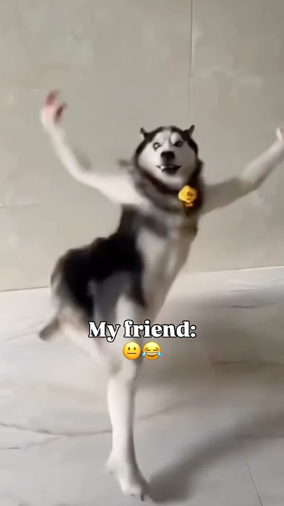 My frnd is more excited than me ππ #music #arrahman #song #funny #pov #malayalam #tamil #dance