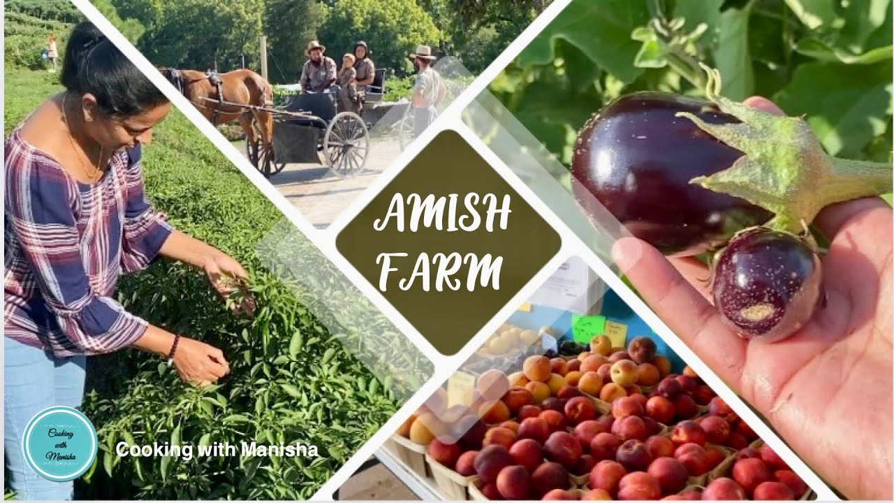 Visiting Amish farm in Kentucky amazing Amish farm Vlog with my