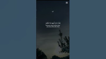 اية الكرسي ♥ القرآن الكريم راحة نفسيّة #quran #المصحف #قرآن