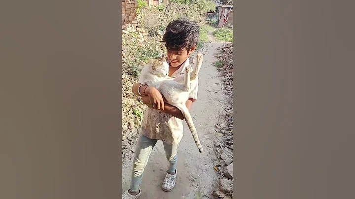 Watch the video about Cute cat 🐈😺#viralvideo #cat #hungrycat #viralshort #video #trending #trendingshorts #trend ##shorts