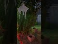 Halloween October 11, 2025, twilight