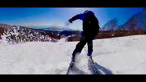 Insta360ONEX Flow State Stabilization 360° Ski Niseko