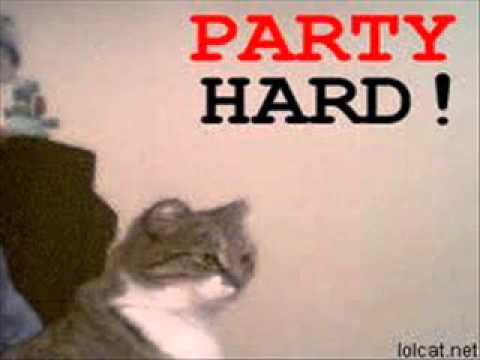 Who's Ready To Party Gif