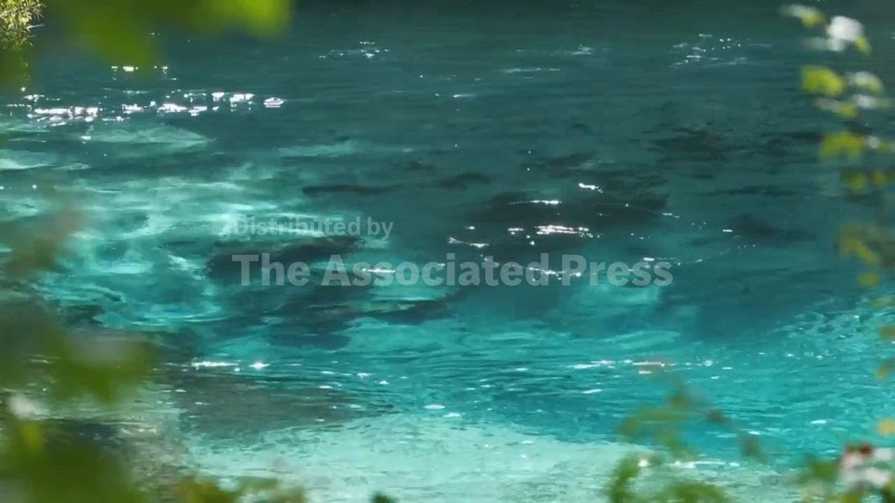 Florida's once-pristine springs threatened by pollution, development and climate change
