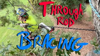 How to Support a Split Tree Union with Bracing Rods