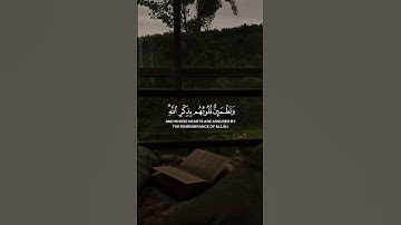 الا بذكر الله تطمئن القلوب 🤍🤍#قرآن #ذكر_الله #سبحان_الله #آية #آيات