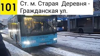 картинка: Автобус 101 (Экспресс). Ст. м. Старая Деревня - Гражданская ул.